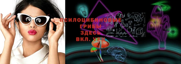 дурь Аркадак