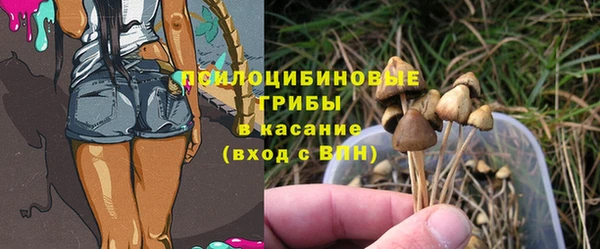 дживик Арсеньев