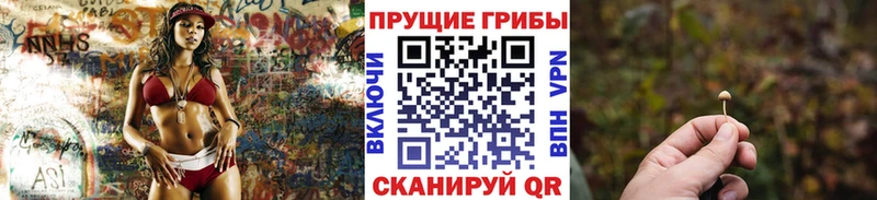 дарнет шоп  Удачный  Псилоцибиновые грибы Magic Shrooms 